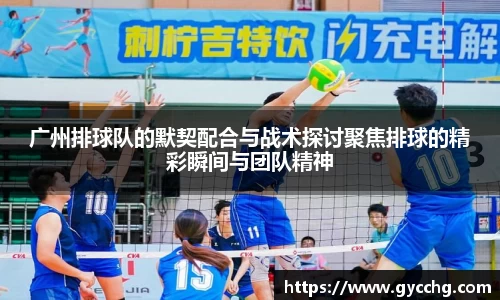 广州排球队的默契配合与战术探讨聚焦排球的精彩瞬间与团队精神